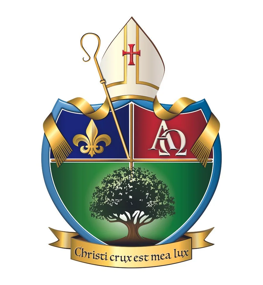 Education and Formation